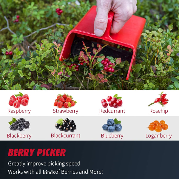 Bærplukker med håndtag, blåbærriveplukkerværktøj til at plukke hindbær, brombær, blåbær og ribs (røde)