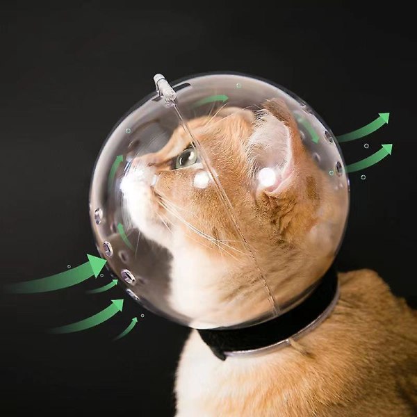 Andas Anti-bett Anti-slickande Katttillbehör Skyddsrum Huva Trimmask Katt Nosbad Trimning för liten katt
