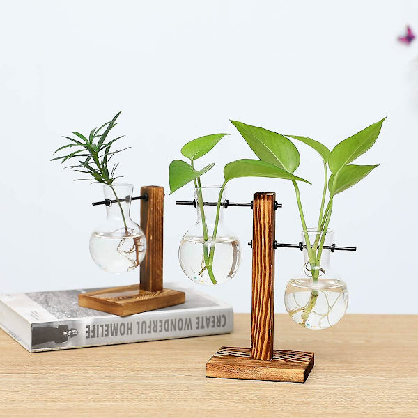 2-pack växtterrarier med trästativ, luftväxtkruka, glasvas, förökningsstation, (3 glödlampvaser)