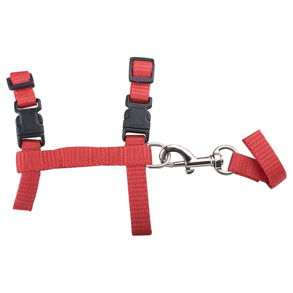 Cat Harness, Adjustable Nylon Strap Collar With Leash, Breakaway