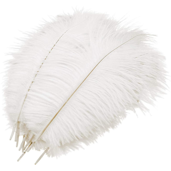 Mwoot 10 stk Naturlige Struds fjer, Struds fjer Plume til bryllup fest bord centerpiece dekoration (hvid, 25-30cm)