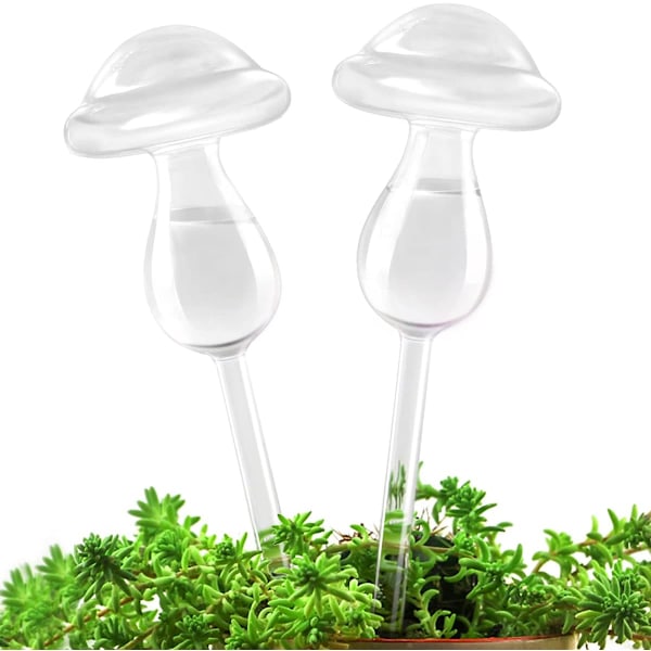 Växtdrog, glasväxtvattningskula, automatisk bevattningskula för växter, automatisk bevattningsanordning för inomhus- och utomhusväxter 2Mushrooms