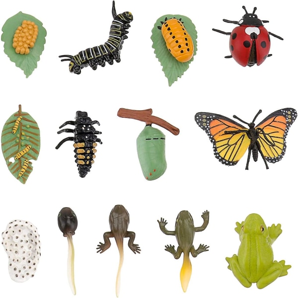 3 settiä muovisia elinkaarileluja – leppäkertun, sammakon ja perhosten kasvatussarjat