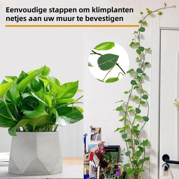30 kappaletta - Kasviklipsit - Naulaton seinäkiinnitys - Näkymätön - Itseliimautuvat kasviklipsit - Köynnöstuki - ...