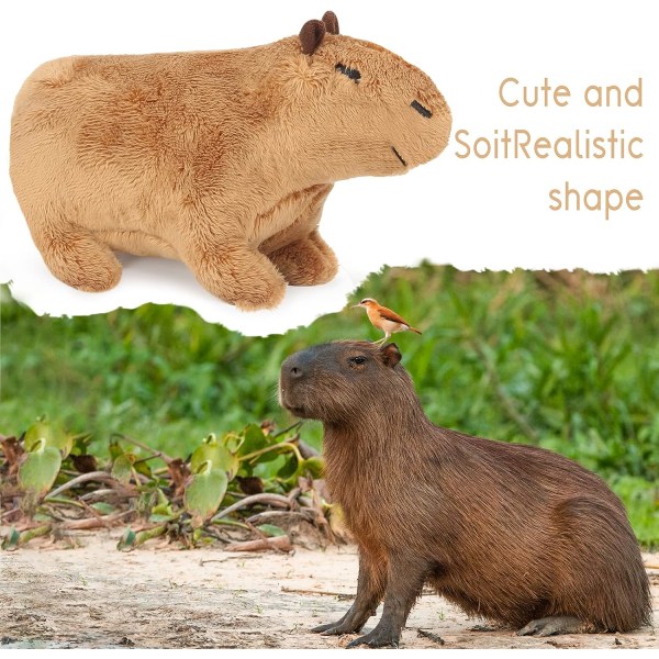 30 cm Simulering Capybara Plys Legetøj, Søde Capybara-marsvindukker, Realistisk udstoppet Capybara-dekorationsgave, Sød gnaver-fyldtedyrsdukke