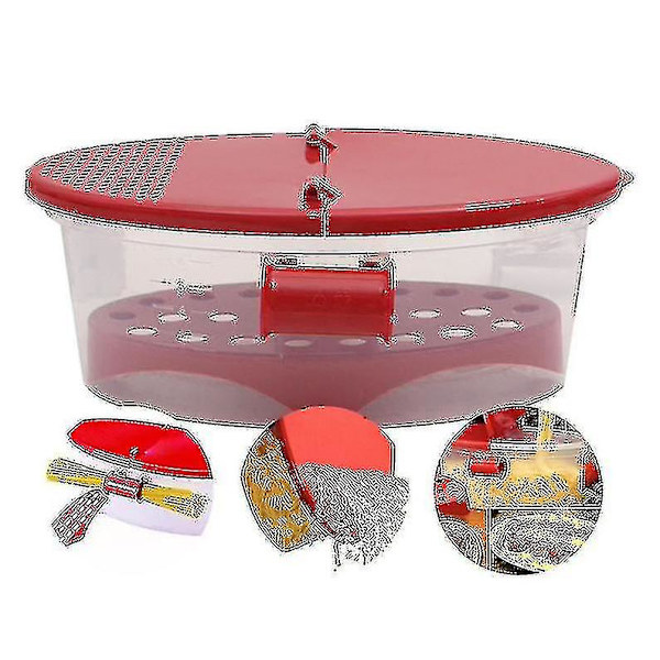 Mikrobølgeovn Noodle Box Mikrobølgeovn Pasta Båt Transparent Plast(hy)