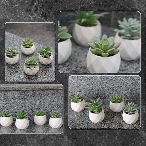 Kunstige planter Mini Faux Sukkulenter Kunstige planter Sæt med 4 dekorative keramiske potteplanter