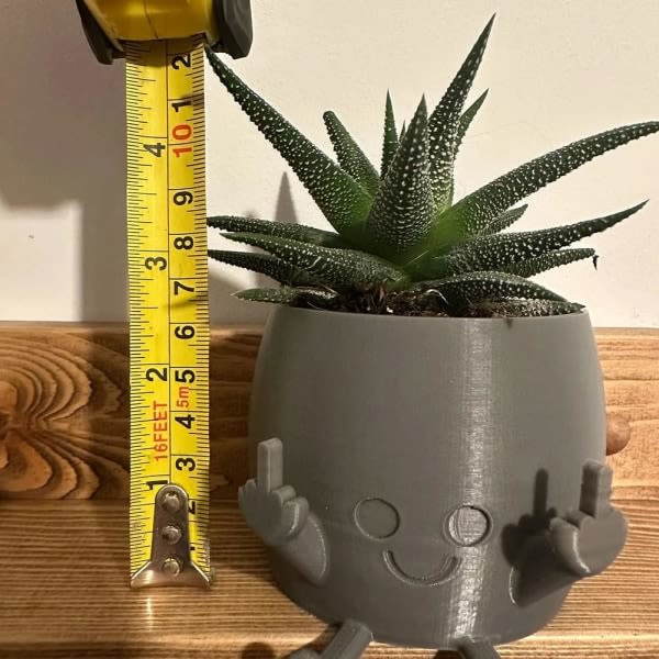 Heeky Smiley krukväxt - bedårande blomkruka med lekfullt långfingerdesign - unik planter för suckulenter - rymmer små växter Grey