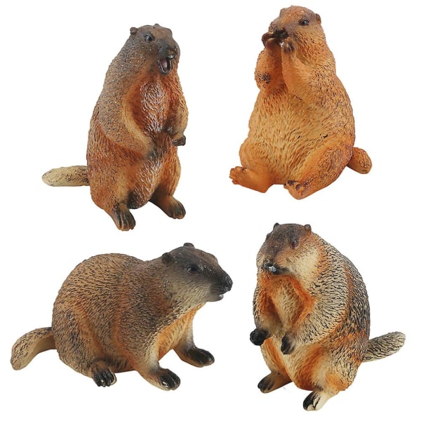 Miniatyr Groundhog Model Ornament Kunstig Groundhog Toy Simulert Groundhog Dyremodell Leketøydekorasjoner For Miniatyr Zoo Og Hage Sandbord C