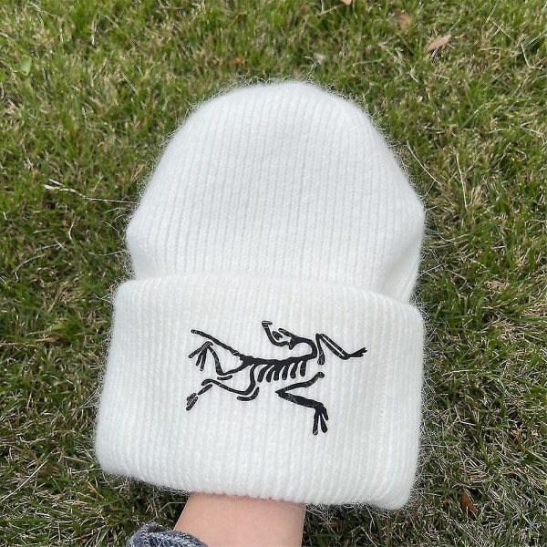 Arc'teryx Stickad Mössa Enfärgad Pullover Beanie Warm Hat (vit, 1st)