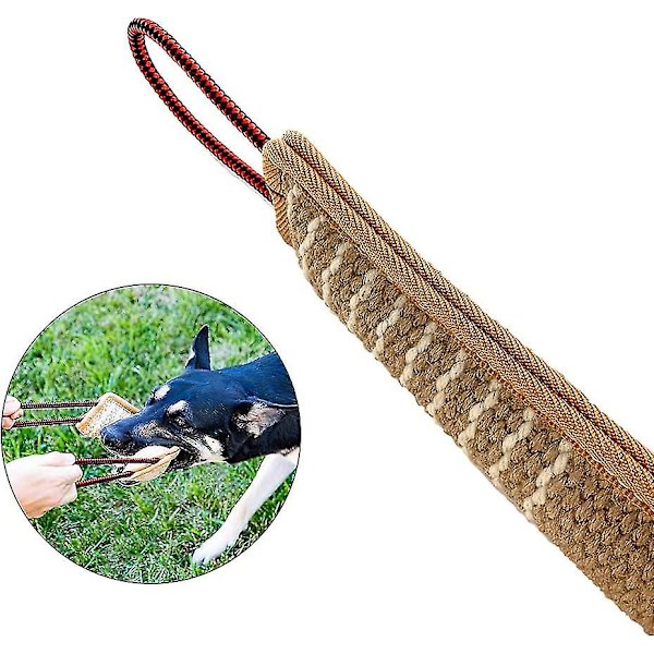 Tuggsticka i form av korv, tuggsticka för hundar, tuggsticka för hundar mjuk, 2 stycken 30 cm tuggsticka för hundar, tuggsticka med två öglor Hy