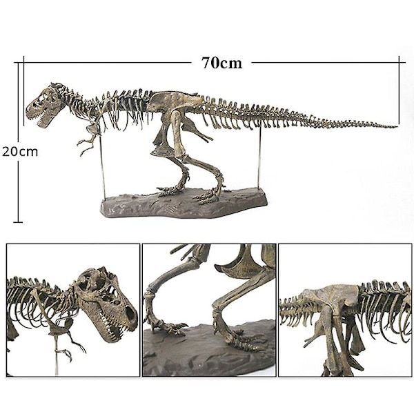 Tyrannosaurus Rex Skelett Dinosaurie Djur Samlare Dekor Modell Leksak