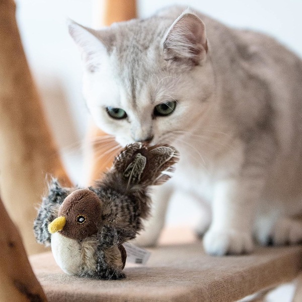 Kissan lelut sisäkissoille, interaktiivinen kissanlelu aidolla sirkuttavan linnun elektronisella äänellä, kissan höyhenlelut pehmeällä pehmoilla lievittävät tylsyyttä
