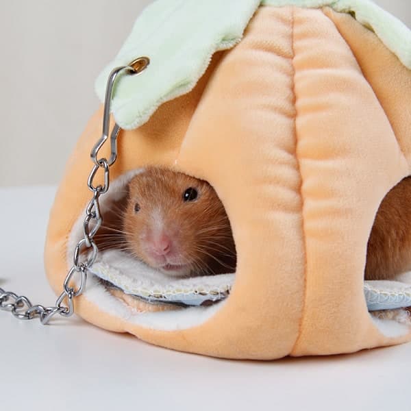 Hamsterbo Husdjurstillbehör Hamster Bomullsbo Uppvärmning