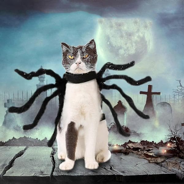 Halloween Justerbart Hunde- og Kattekostyme Edderkopp Realistisk Plysjedderkopp