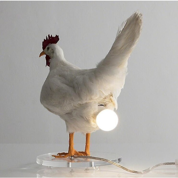 Taxidermy Chicken Lamp,chicken Egg Lamp,3d Chicken Table Lamp