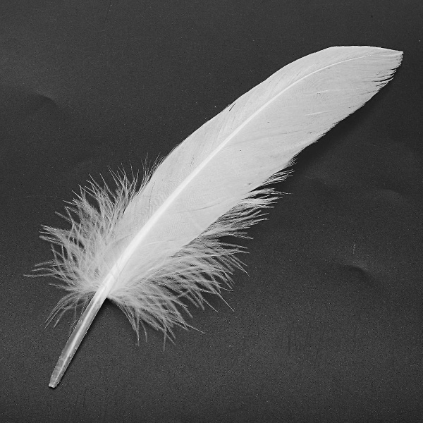 100 stk White Feathers Goose Craft-kompatibel festlue håndverk 15-22cm