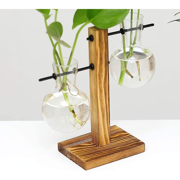 2-pack växtterrarier med trästativ, luftväxtkruka, glasvas, förökningsstation, (3 glödlampvaser)