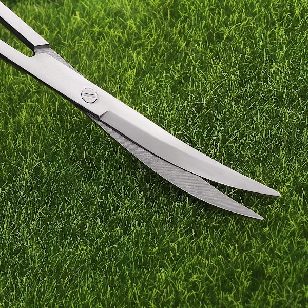 Akvariesaks med buet hode for vannplanter 24cm-X71-