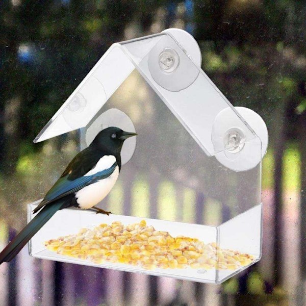 Window Bird Feeder - Utenu Window - Bird Feeders