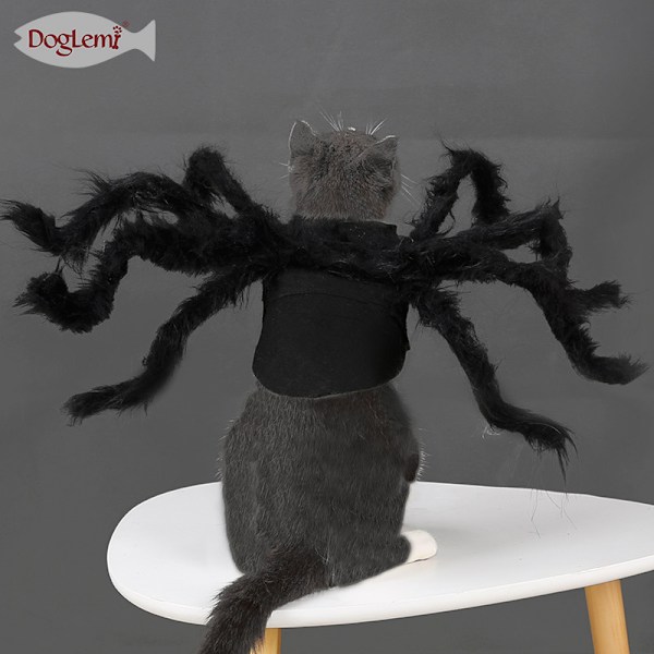 Halloween Dekoration Husdjurskläder Spindelvalp Kattskräck