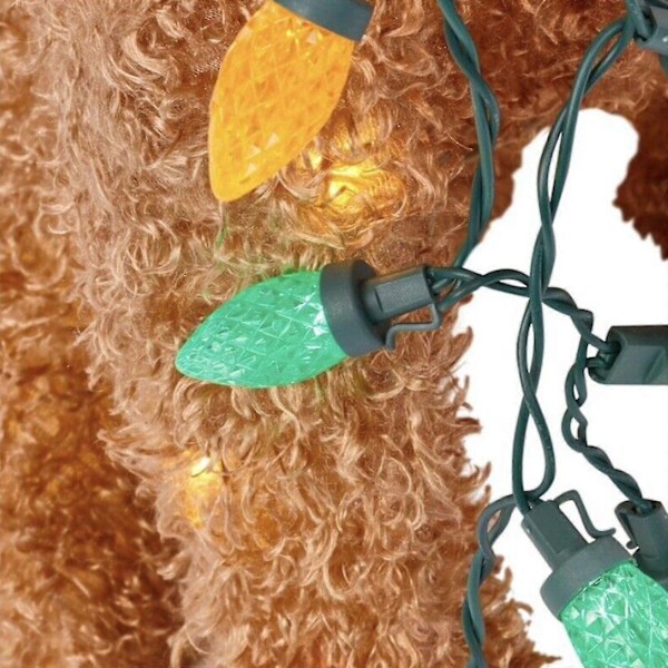 Juldekoration - Plyschig Doodle-Hund med LED-Ljus