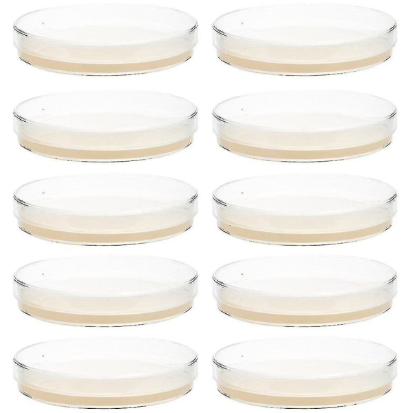 10 st förhällda agarplattor petriskålar med agarvetenskapsexperimenttillbehör