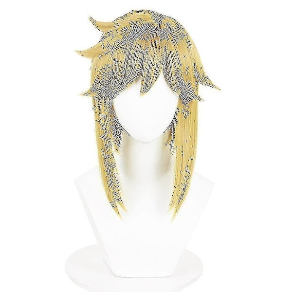 Spellegenden Link Cosplay för Vuxna och Barn - Tears of the Kingdom Kostym Komplett Set Man Halloween Karnevaldräkt - WELLNGS Med Peruk With wig 150