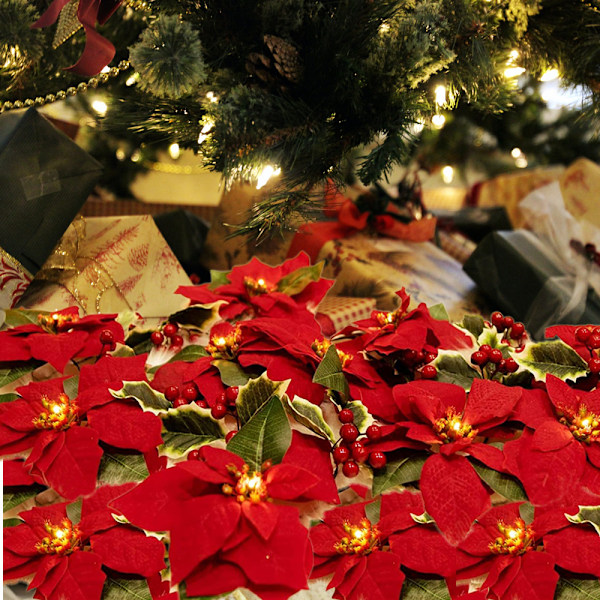 Julstjärneblommor Ljusslinga Batteridriven Vattentät Koppar