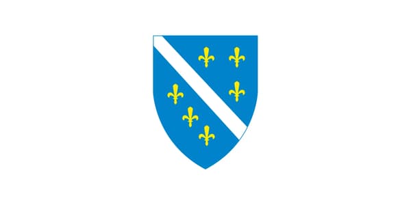 Bosnian lippu (1992-1998)