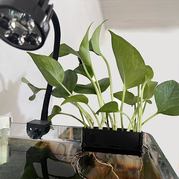 Akvarium Hängande Vattenväxthållare Akvarium Växthållare för Akvarium Växtodling Dekoration-XF6- Short Hook