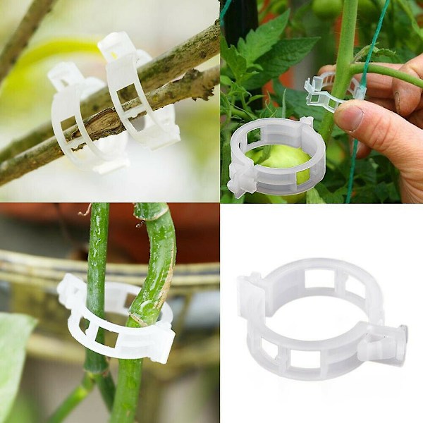 100-pakning plastklips for hageplanter, tomatklips, espalierklips