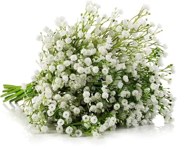 Vita kunstige blomster - simulerte plastblomster