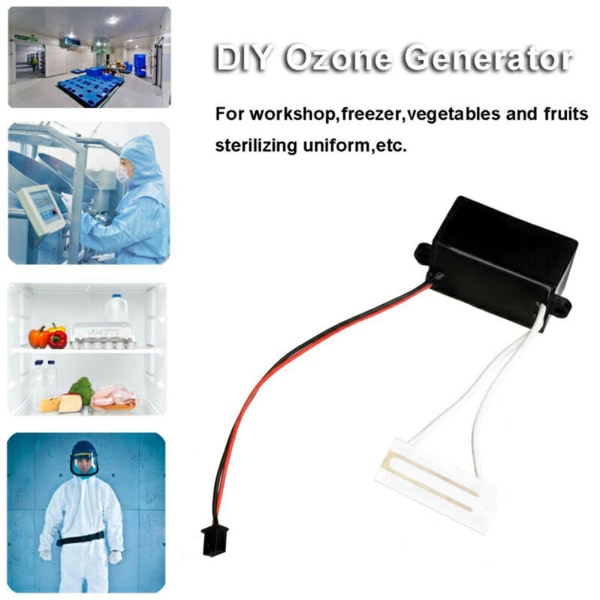 DC12V 200mg DIY Hem Ozon Generator Luftrenare Bil Deodorant för färska frukter grönsaker
