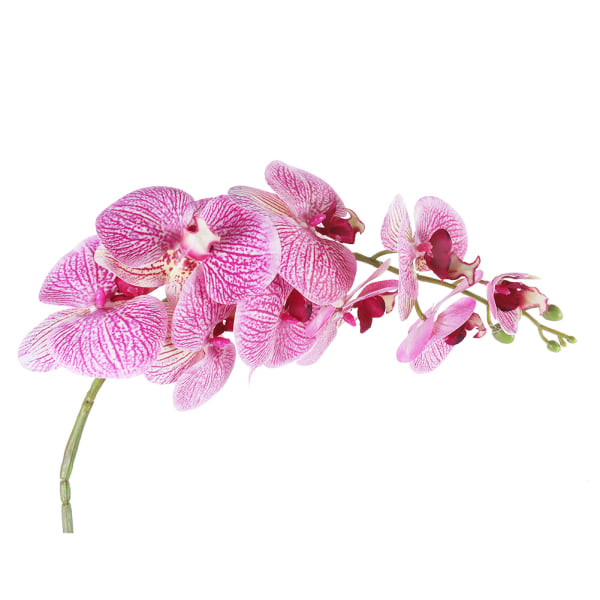 2st Artificiell Phalaenopsis Flowersimulering Butterfly Orchid Hemkontorsdekor (rosa)