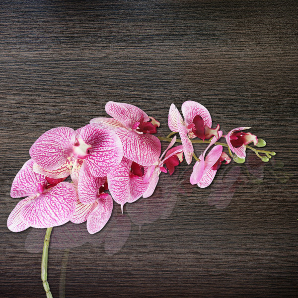 2st Artificiell Phalaenopsis Flowersimulering Butterfly Orchid Hemkontorsdekor (rosa)