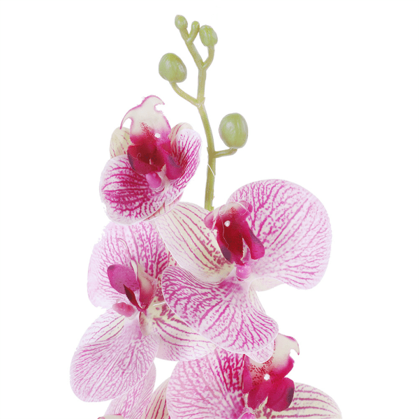 2st Artificiell Phalaenopsis Flowersimulering Butterfly Orchid Hemkontorsdekor (rosa)