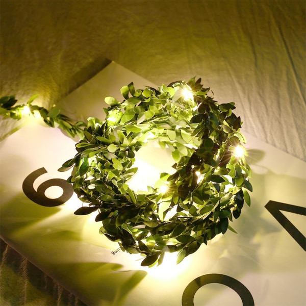 30 LED 3m/9,8ft USB laddningsrotting Fairy String Light Christmas Indoor Party Decoration