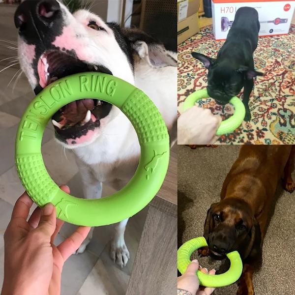 Interaktiv EVA Puller Ring För Hundar Stor Hund Leksak Biting Resistenta Flygande Skivor För Husdjur Liten Hund Leksak apelsin