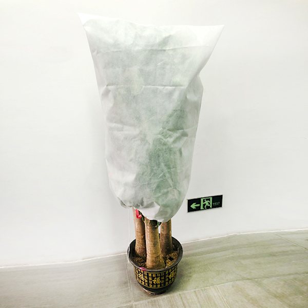 Plante frostbeskyttelsesdække efterår og vinter kuldebeskyttelse trædække plante frostbeskyttelsespose non-woven plante kuldedække (0,8m*1,2m)