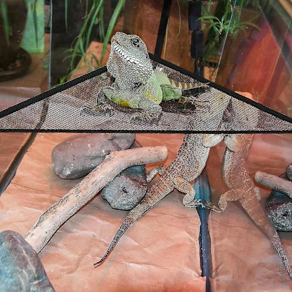 Bearded Dragon Lizard Hängmatta Triangelform med kraftfull sugkopp Reptil Hängmatta Dekorativ Ac