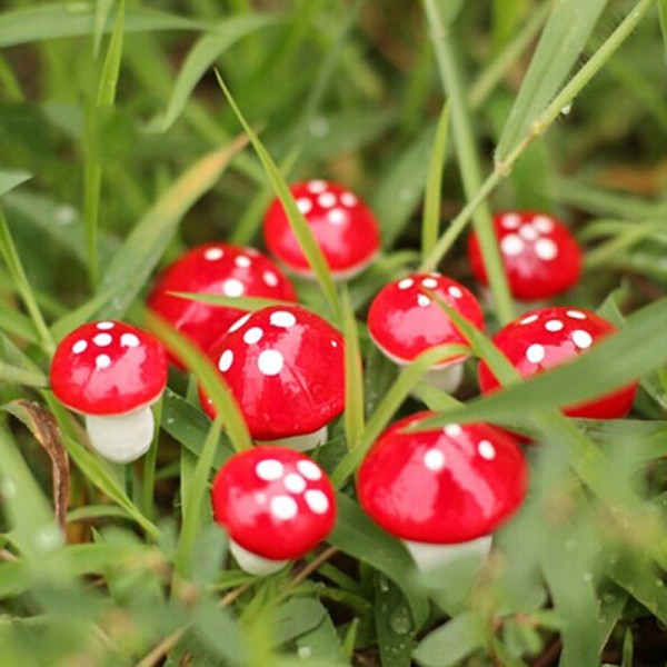 18 stk. Miniatyr Sopp Eventyrhage Landskap Ornament Dukkehus Blomsterpotter Dekor (16mm)