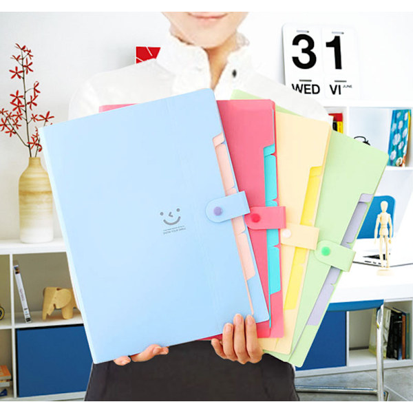 2 stycken expansionsmappar, söta mappar för viktiga dokument