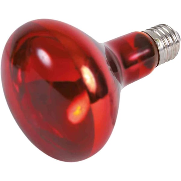 Infrarød Spotlampe 95 × 130 mm 150 W