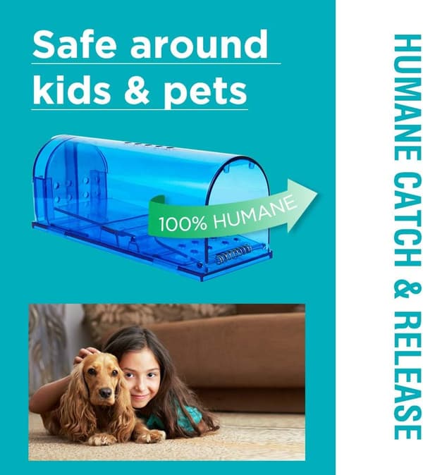 råttfällor, Humane No Kill Live Catch and Release Mouse Traps, Reusable with Cleaning Brush - 2 Pack