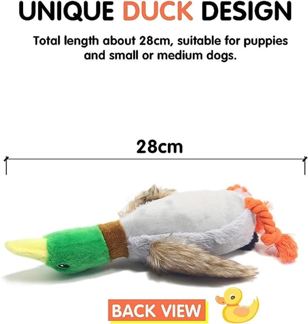 Mng Peter Rabbit Film Plysch-Peter Rabbit 30cm