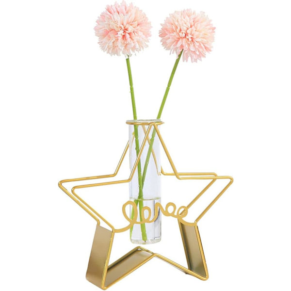 Skrivbordsväxter med provrörsglasblomvas med guldmetallställ, förökningsstation, växthållare för hem, bröllopsdekoration (Guld, Stjärna)