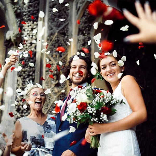2000 stk. Kunstige Silkeblader Rose Dekor Bryllupsfest Farge Elfenben