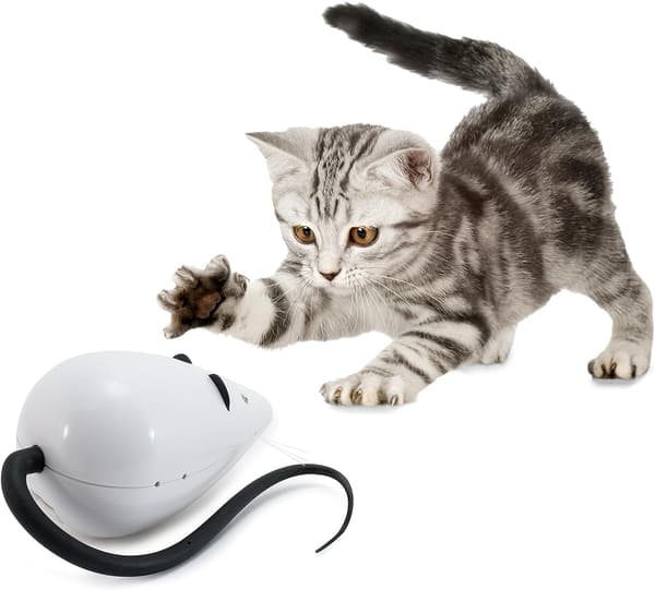 2 stk. Svarte Sammenleggbare VR-briller Boks Storm Virtual Reality Magic