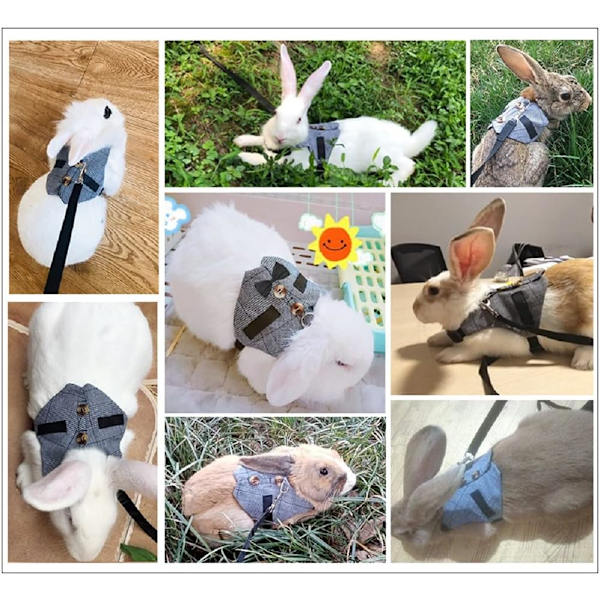 Kanin Justerbar Kostyme Sele, Sele og Båndsett for Små Dyr, for Små Dyr Kaniner Hamstere Katter (Grå S)